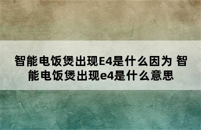 智能电饭煲出现E4是什么因为 智能电饭煲出现e4是什么意思